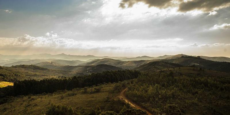 紫色优雅，触手可及：迪曼LP如何通过移动端适配重塑个人护理的用户体验